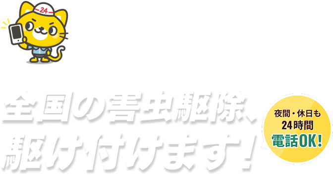 害虫でお困りならすぐにお電話ください！全国の害虫駆除、駆けつけます！夜間休日も24時間電話OK！