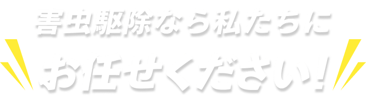 害虫駆除なら私たちにお任せください！