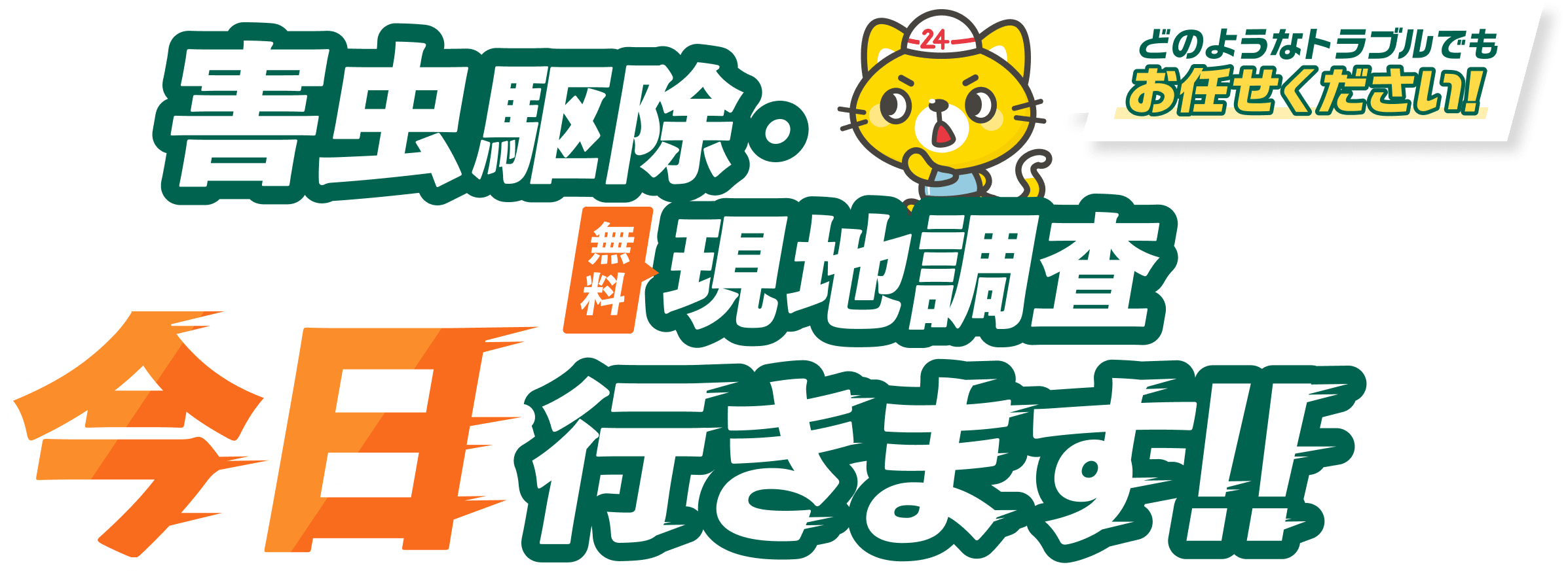 害虫駆除・無料現地調査 今日行きます！どのようなトラブルでもお任せください！