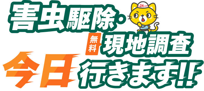 害虫駆除・無料現地調査 今日行きます！